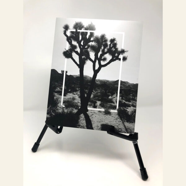 8x10” deep matte print, Joshua Tree Polyscape, mounted on foamcore, adhesive tape on back for easy hanging and take down 🥰🌵🌸⛰️