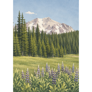 Lassen Lupine