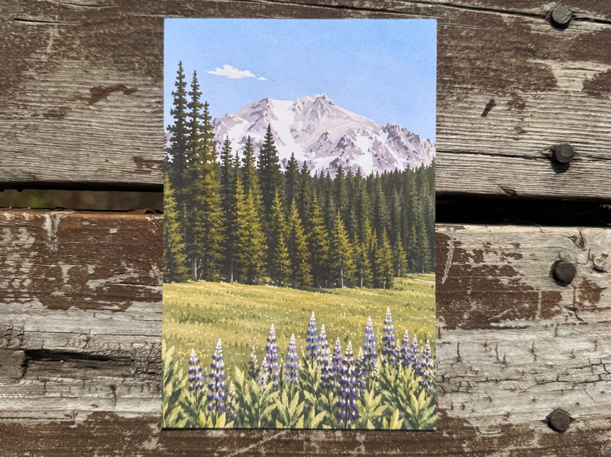 Mount Lassen Art Print | California Wildflower Mountain Art - Image 2