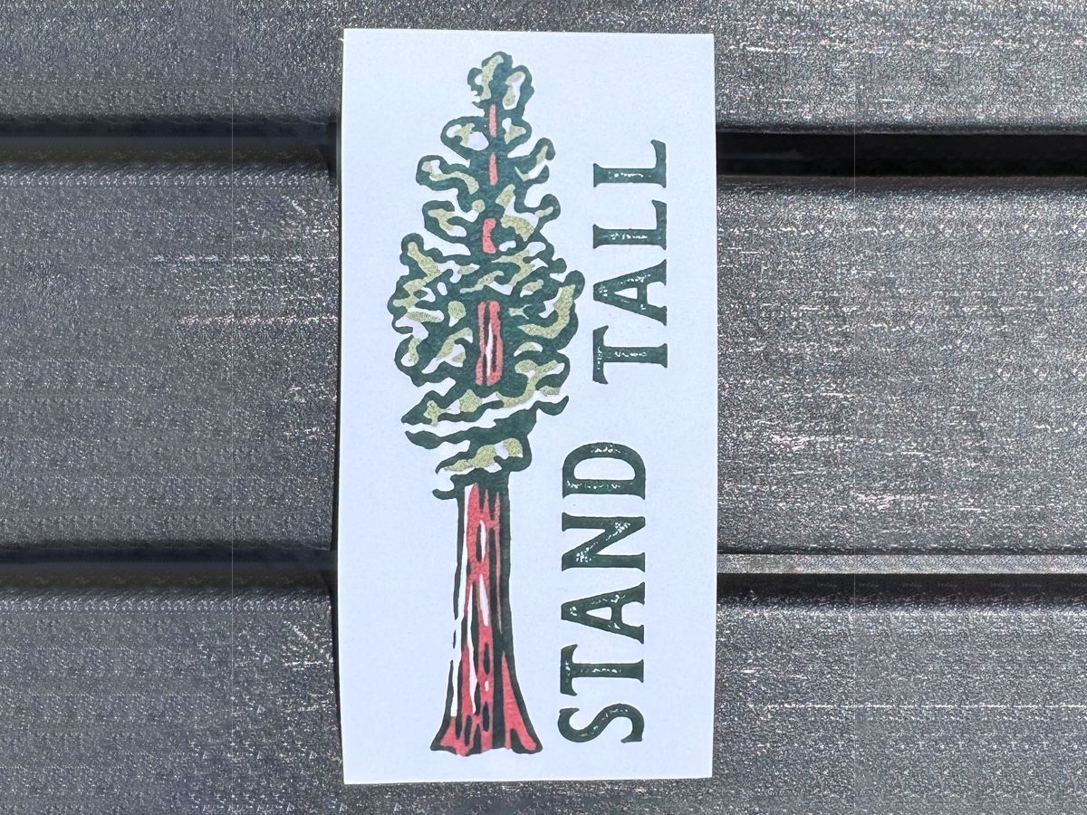Stand Tall - Image 2